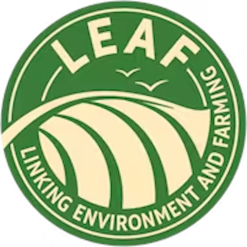 LEAF Logo RGB Green Small Use Text